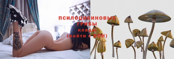 крисы Гусь-Хрустальный