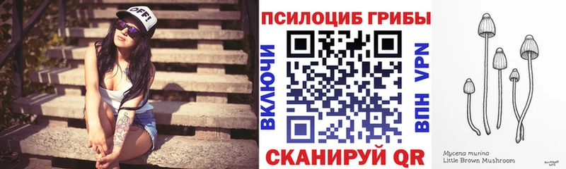 KRAKEN ссылка  Талдом  Галлюциногенные грибы Psilocybe 